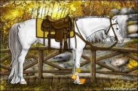 Horse Color:Liver Chestnut Sabino Splash Appaloosa  Brindle