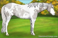 Horse Color:White Spotted Silver Black Tobiano Rabicano