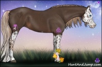 Horse Color:Liver Chestnut Sabino Splash and Liver Chestnut Sabino Splash