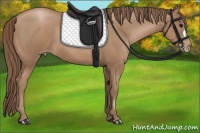 Horse Color:Black Pearl 