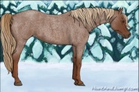 Horse Color:Red Roan 