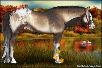 Horse Color:Liver Red Onyx Sabino Splash Appaloosa  and Liver Red Onyx Sabino Splash Appaloosa 