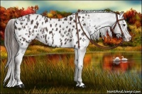 Horse Color:Liver Chestnut Sabino Splash Blanket  and Liver Chestnut Sabino Splash Blanket 