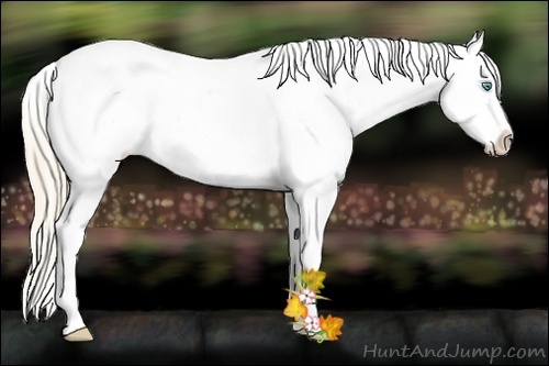 Horse Color:Smoky Creme Snowcap 