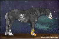 Horse Color:Black Sabino