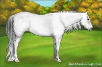 Horse Color:Smoky Black Sabino Tobiano Frame Rabicano 