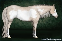 Horse Color:Chocolate Palomino Pearl Frame Rabicano