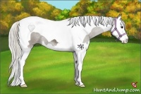 Horse Color:Silver Smoky Black Sabino Splash Tobiano