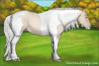 Horse Color:Silver Smoky Black Pearl Tobiano 