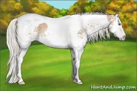 Horse Color:White Spotted Silver Black Ice Pearl Splash Tobiano