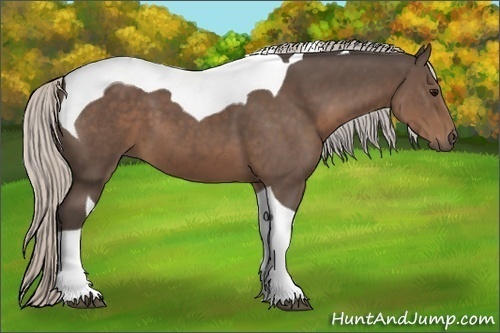Horse Color:Silver Black Tobiano