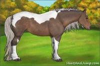 Horse Color:Silver Black Tobiano