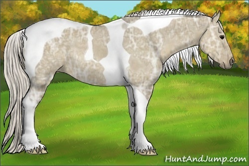 Horse Color:Silver Smoky Grullo Ice Tobiano Rabicano