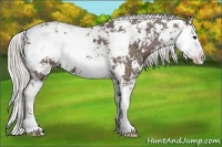 Horse Color:Silver Black Sabino