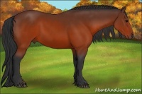 Horse Color:Brown 