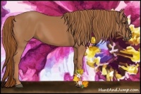 Horse Color:Chestnut Rabicano 