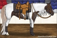 Horse Color:Liver Chestnut Tobiano Frame 