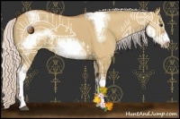 Horse Color:Silver Bay Dun Sabino Tobiano Frame Rabicano 