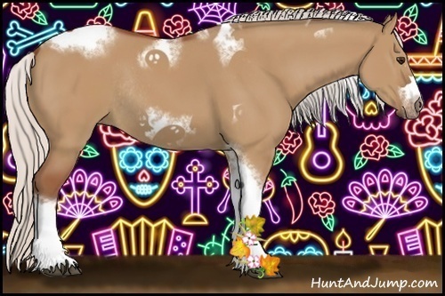 Horse Color:Silver Bay Dun Sabino Tobiano Frame Rabicano 