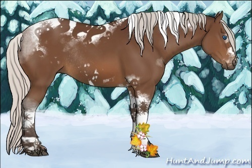 Horse Color:Silver Brown Sabino Tobiano Frame Rabicano 