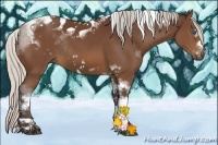 Horse Color:Silver Brown Sabino Tobiano Frame Rabicano