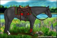 Horse Color:Black Tobiano 