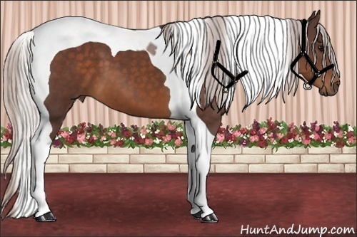 Horse Color:Chocolate Silver Brown Tobiano 