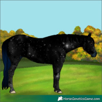 Horse Color:ERROR: UNKNOWN ANOMALY
