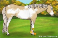 Horse Color:Silver Bay Dun Sabino Tobiano Frame Rabicano 