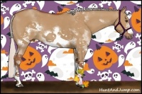 Horse Color:Silver Bay Dun Sabino Frame Rabicano 