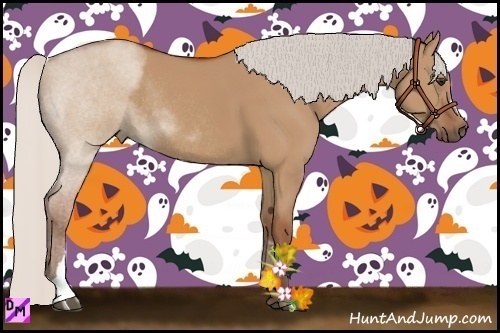 Horse Color:Silver Bay Dun Rabicano 