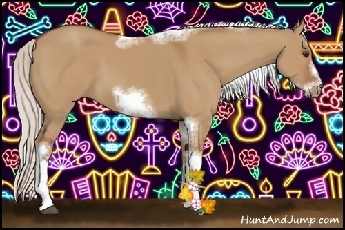 Horse Color:Silver Bay Dun Sabino Tobiano Frame Rabicano 