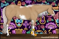 Horse Color:Silver Bay Dun Sabino Tobiano Frame Rabicano 