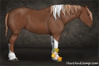 Horse Color:Chestnut Tobiano