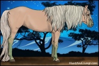 Horse Color:Watercolor Silver Grullo