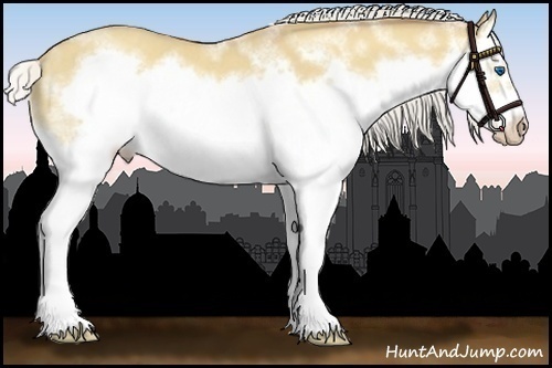 Horse Color:White Spotted Silver Classic Champagne Dun Splash Frame 