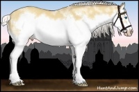 Horse Color:White Spotted Silver Classic Champagne Dun Splash Frame 