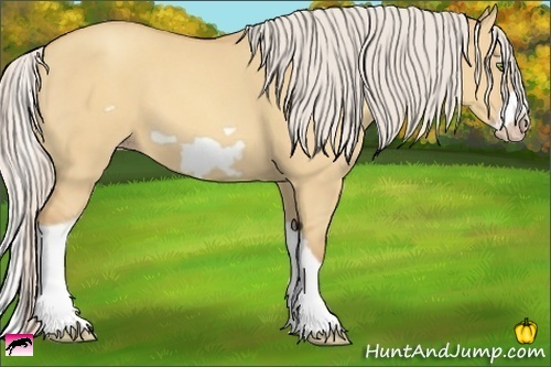 Horse Color:Silver Amber Champagne Dun Splash Frame 