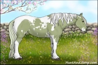 Horse Color:Watercolor White Spotted Silver Black Tobiano 