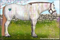 Horse Color:Plaid Red Dun Ice Splash