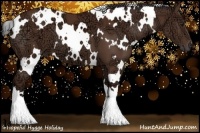 Horse Color:White Spotted Bay Ice 