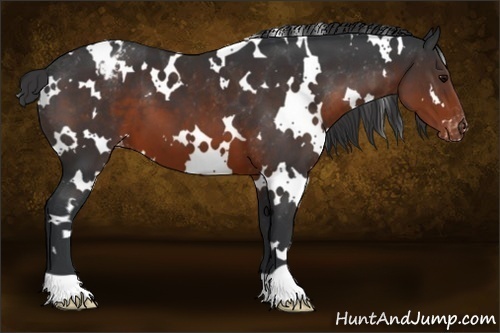 Horse Color:White Spotted Brown Varnish 