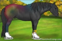 Horse Color:Black and Black