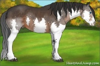 Horse Color:Brown Splash