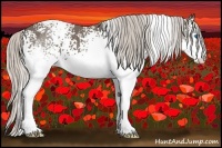 Horse Color:White Spotted Silver Black Splash 