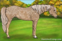 Horse Color:Palomino Ice 