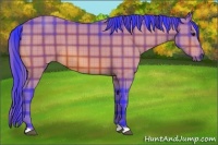 Horse Color:Watercolor Plaid  Bay 