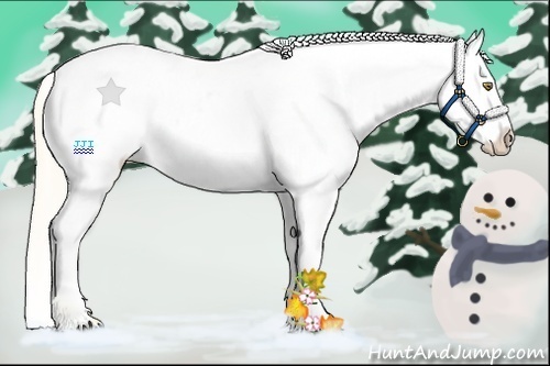 Horse Color:Palomino Near Leopard