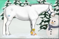 Horse Color:Palomino Near Leopard