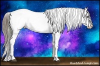 Horse Color:Plaid  Grullo Tobiano Varnish 